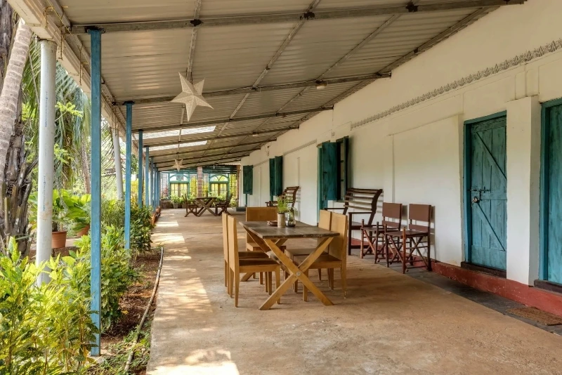Mangaal Farm